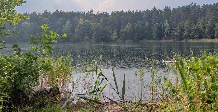 Ein schöner See in der Uckermark im Regen