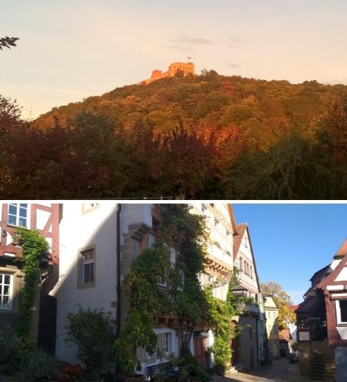 Hambacher Schloss und ein Weinstaedtchen