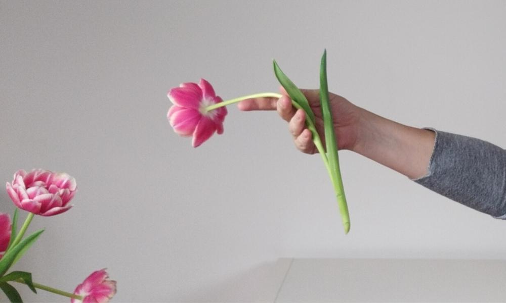 eine einzelne Tulpe in der Hand einer Frau fliegt aus einer Vase hinaus